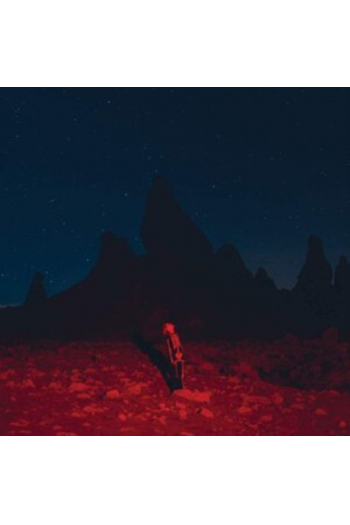 Phoebe Bridgers - Punisher LP - omot