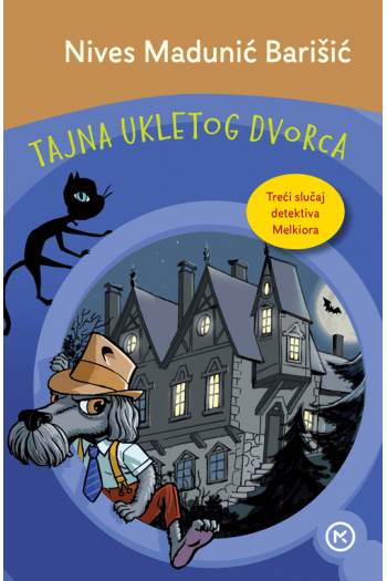 Tajna ukletog dvorca - naslovnica