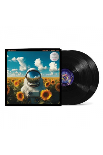 Tears For Fears - Songs For A Nervous Planet LP - omot