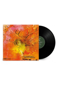 Doldingers Motherhood - Motherhood LP - omot