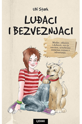 Luđaci i bezveznjaci - naslovnica
