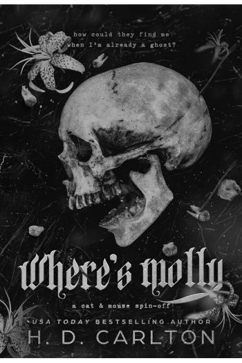 Wheres Molly - naslovnica