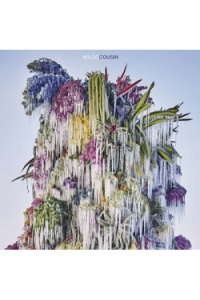 Wilco – Cousin (LP) glazbeno izdanje