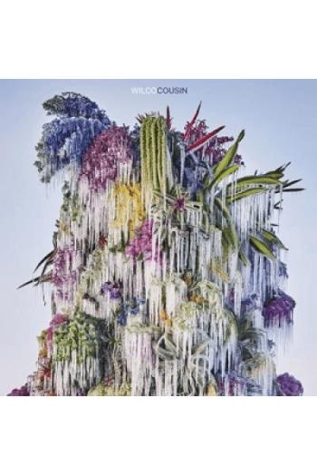Wilco – Cousin (LP) glazbeno izdanje