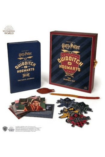 Harry Potter Quidditch at Hogwarts - naslovnica