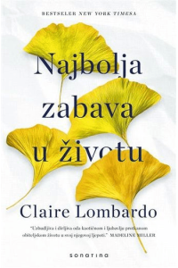 Najbolja zabava u životu - naslovnica