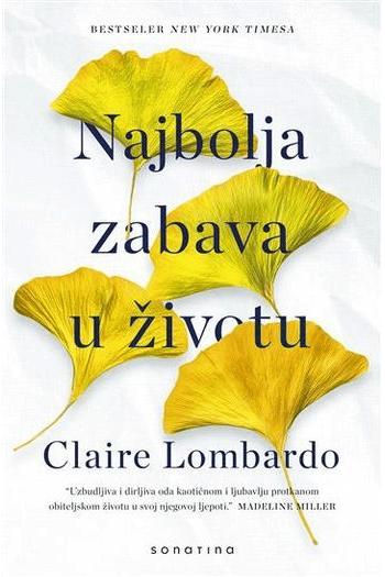 Najbolja zabava u životu - naslovnica