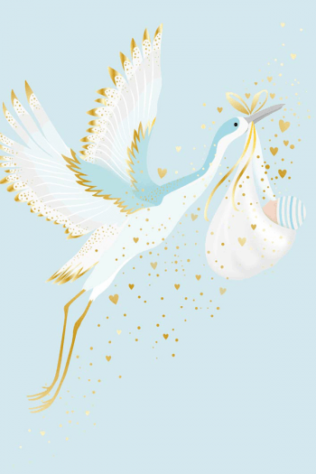 Čestitka "Blue Stork" - slika proizvoda