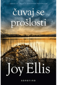 Čuvaj se prošlosti - naslovnica