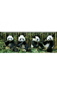 Deep Pandas Ravnalo - slika proizvoda