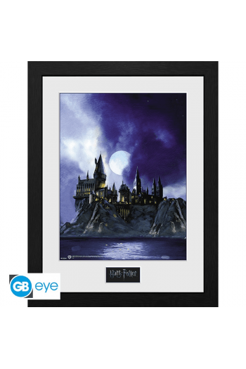 Harry Potter - Framed Print Hogwarts Painted (300) - slika proizvoda