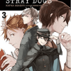 Bungo Stray Dogs, Vol. 3 (Light Novel): The Untold Origins Of The Detective Agency (Manga) - naslovnica