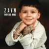 Zayn - Mind Of Mine (Deluxe Edition) LP - omot