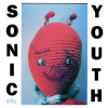Sonic Youth - Dirty LP - omot