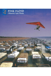 Pink Floyd - A Momentary Lapse Of Reason CD - omot