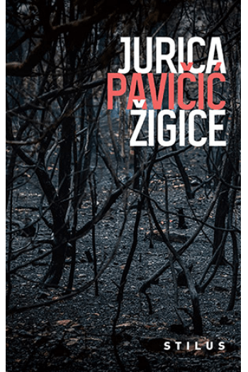 Žigice - naslovnica