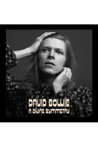 David Bowie - Divine Symmetry LP - omot
