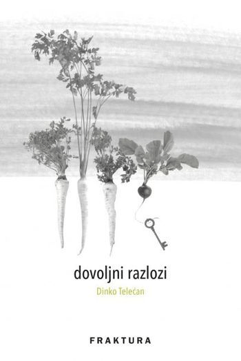 Dovoljni razlozi - naslovnica