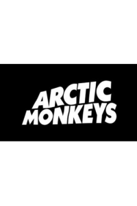 ARCTIC MONKEYS - AM LP - omot