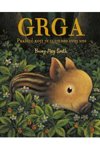 Grga - Praščić koji je slijedio svoj nos (Slikovnica) - naslovnica