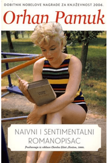 Naivni i sentimentalni romanopisac - naslovnica