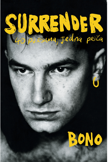 Surrender - 40 pjesama, jedna priča - naslovnica
