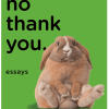 Wow, No Thank You - naslovnica