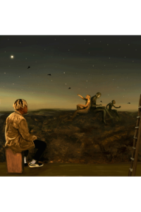 From A Birds Eye View