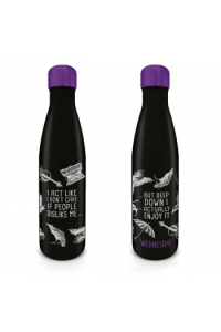 Pyramid Wednesday (DonT Care) Metal Drinks Bottle