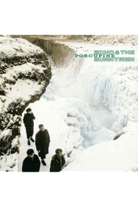 Echo and The Bunnymen - Porcupine LP - omot