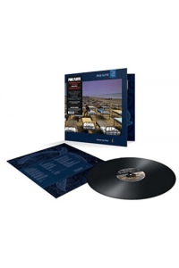 A Momentary Lapse Of Reason