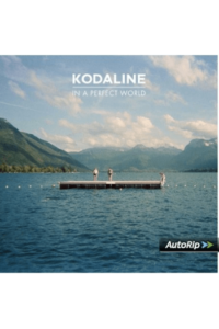 Kodaline - In A Perfect World LP - omot