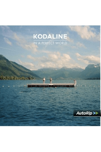 Kodaline - In A Perfect World LP - omot
