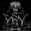 Necrophobic - Womb of Lilithu (Re-issue 2022) LP - omot