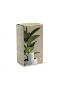 Plant Power Nuke 7 Plant waterer / white / 7x7x15cm / terracotta