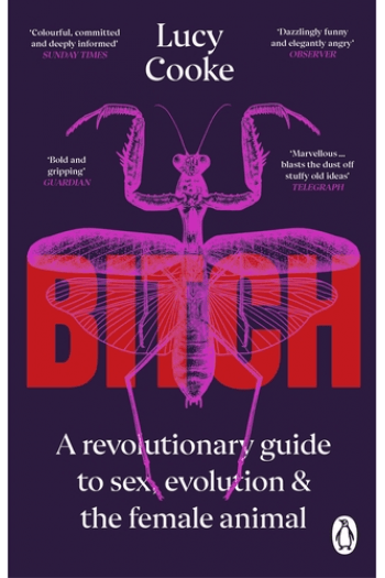 Bitch - naslovnica