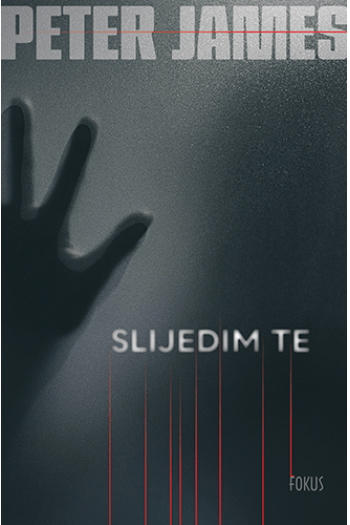 Slijedim te - naslovnica