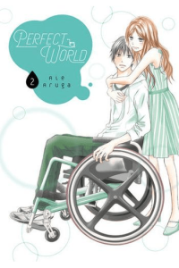 Perfect World, Vol. 02 - slika proizvoda