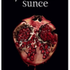 Ponoćno sunce knjiga