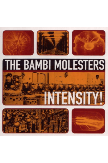 BAMBI MOLESTERS - Intensity! LP - omot