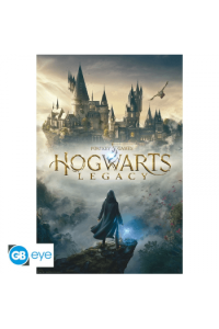 Harry Potter - Poster Hogwarts Legacy Key Art (91.5X61) - slika proizvoda