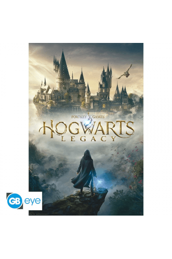 Harry Potter - Poster Hogwarts Legacy Key Art (91.5X61) - slika proizvoda