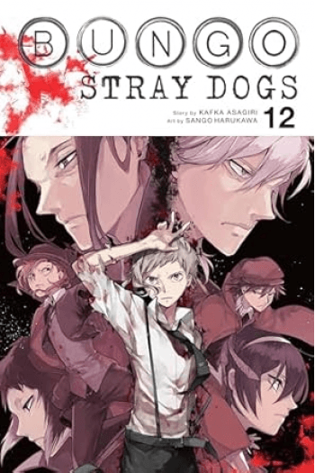 Bungo Stray Dogs, Vol. 12 (Manga) - naslovnica