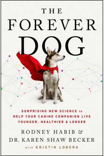 The Forever Dog - naslovnica