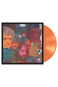 Premiata Forneria Marconi - Passpartu (180g Limited Orange Vinyl) LP - omot