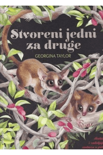 Stvoreni jedni za druge (Slikovnica) - naslovnica