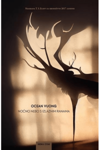 Noćno nebo s izlaznim ranama