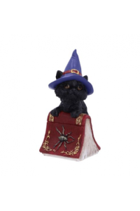 Nemesis Now Hocus 12,7cm