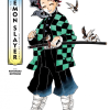 Art of Demon Slayer: Kimetsu no Yaiba (Manga) - naslovnica