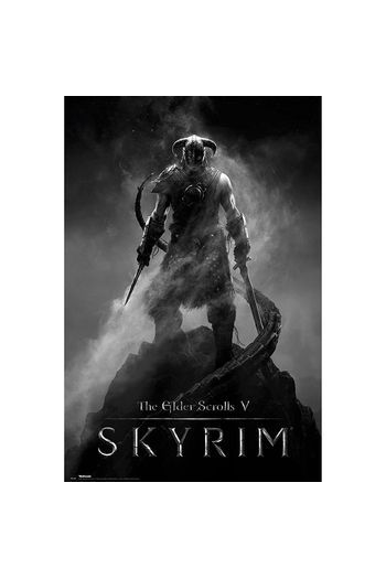 Skyrim Dragonborn Poster (91.5x61cm) - slika proizvoda